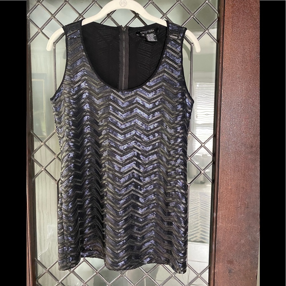 Sequin Tank Etcetera - image 1